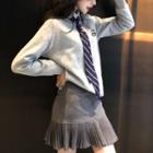 Long Sleeve Embroidered Pullover / Pleated Hem Mini Skirt