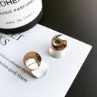 Color Panel Earring