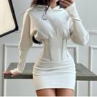 Plain Long Sleeve Sheath Mini Dress