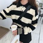 Polo Collared Striped Sweater