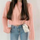 Plain Long-sleeve Crop Sweater - 3 Colors