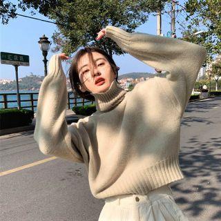 Turtle-neck Plain Cropped Knit Top