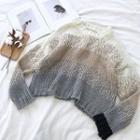 Color-block Crewneck Long-sleeve Sweater