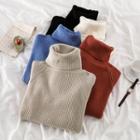 Plain Turtle-neck Long-sleeve Rib-knit Sweater