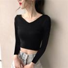 Long-sleeve Cropped V-neck T-shirt