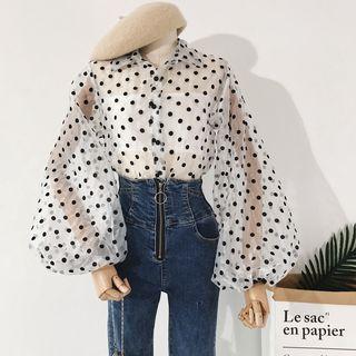 Sheer Polka Dot Mesh Blouse