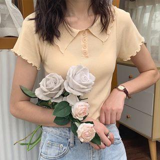 Ruffle Trim Polo Collar T-shirt