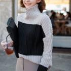 Color Block High Neck Chunky Knit Sweater