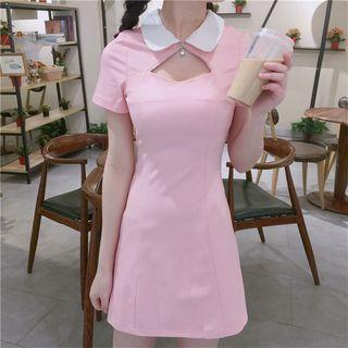 Short Sleeve Collared Dress