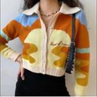 Collared Color Block Cardigan / Embroidered Cardigan