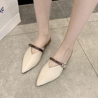 Pointy Buckled Low Heel Mules
