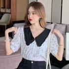 Short-sleeve Dotted Wide-collar Chiffon Blouse
