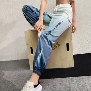 Gradient Sports Jogger Pants