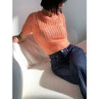 Perforated Knit Crop Top