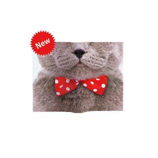Animal Mask Book Cover (ribbon Cat)