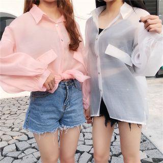 Long Sleeve Sheer Blouse