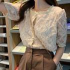 Elbow-sleeve Lace Top Almond - One Size