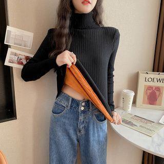 Long Sleeve Turtleneck Plain Fleeced Top