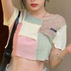 Color Panel Cropped Top
