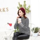 Striped High Neck Long-sleeve Knit Top