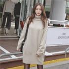 Turtle-neck Sweater Dress