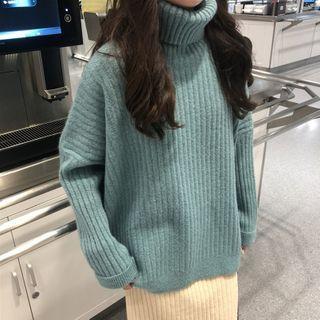 Turtle Neck Rib Knit Sweater
