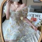Short-sleeve Embroidered Mesh Blouse / Mini A-line Dress