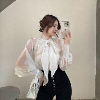 Bow Mesh Blouse