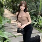 Mesh Off-shoulder Shirt / High-waist Wide-leg Pants ( Various Designs )