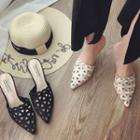Heeled Pointed Mules