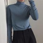 Long Sleeve Turtleneck Plain T-shirt