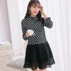 Long-sleeve Dotted Panel A-line Dress
