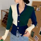 Color Block V-neck Cardigan Green - One Size