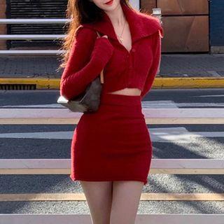 Long-sleeve Plain Cropped Top / High-waist Skirt