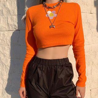 Flower Embroidered Long-sleeve Cropped Top
