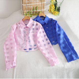 Plaid Mesh Shirt