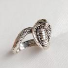 Snake Ring Silver - One Size