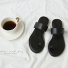 Toe-loop Banded Slide Sandals