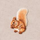 Squirrel Embroidered Patch / Brooch