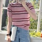 Short-sleeve Stripe Knit T-shirt