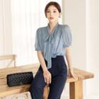Tie-neck Sheer Wrap Blouse