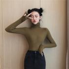 Plain Turtle-neck Knit Sweater