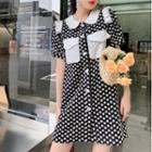 Contrast Collar Embroidered Mini A-line Dress
