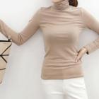 Slim-fit Turtle-neck Top