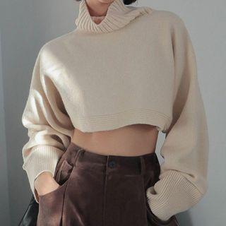 Cropped Turtleneck Plain Sweater