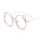 Round Frame Cat Ear Glasses