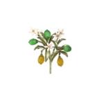 Fashion And Elegant Enamel Green Lemon Flower Brooch Silver - One Size