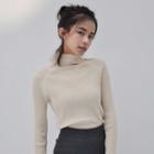 Mock-neck Cropped Knit Top