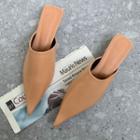 Pointy-toe Kitten-hel Mules