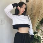 Two-tone Cropped Pullover White - One Size